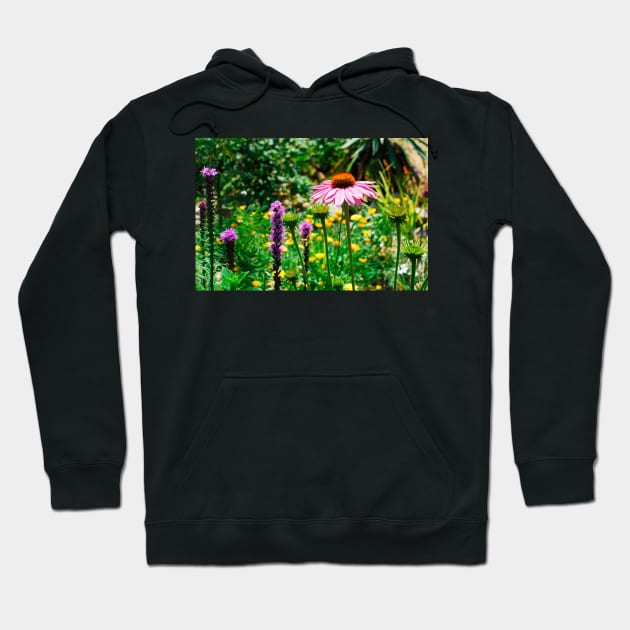 Echinacea Purpurea Hoodie by jojobob